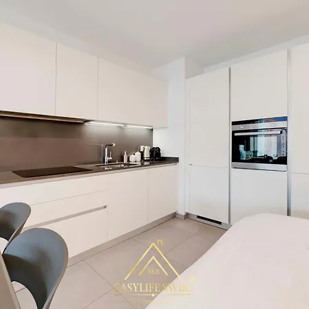 Avorio Wonderful And Modern Loft In Bellinzona -By Easylife Swiss Apartment Exterior photo